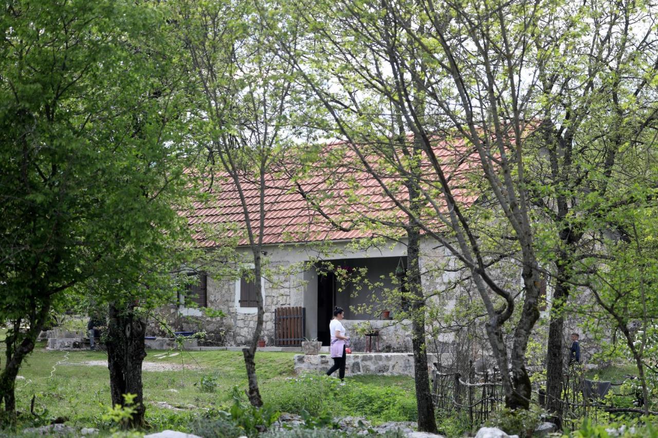 Lake House 'Vilin Konak' Nikšić エクステリア 写真