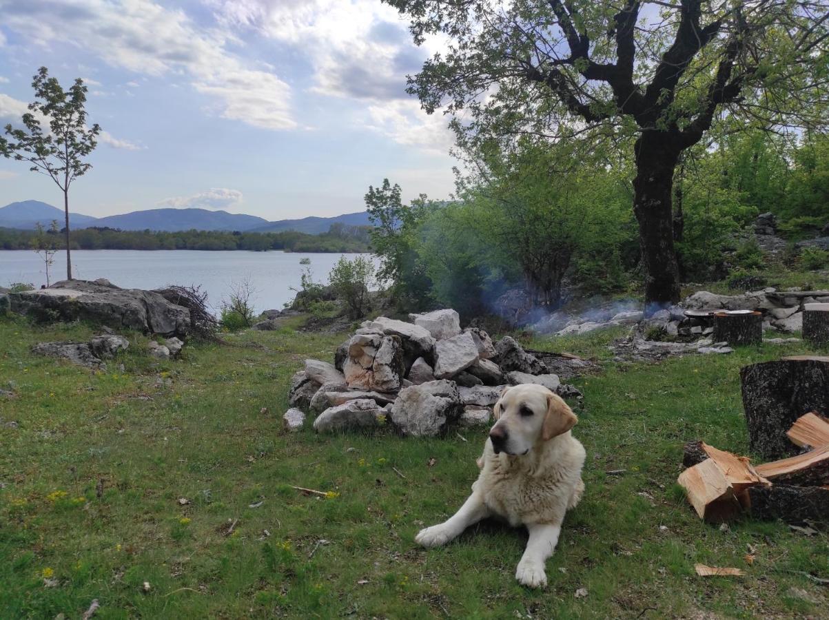 Lake House 'Vilin Konak' Nikšić エクステリア 写真